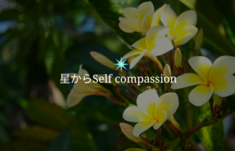 星からself compassion