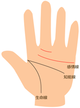 そよ風手相教室 感情線5 二重感情線 そよ風の仲間たち